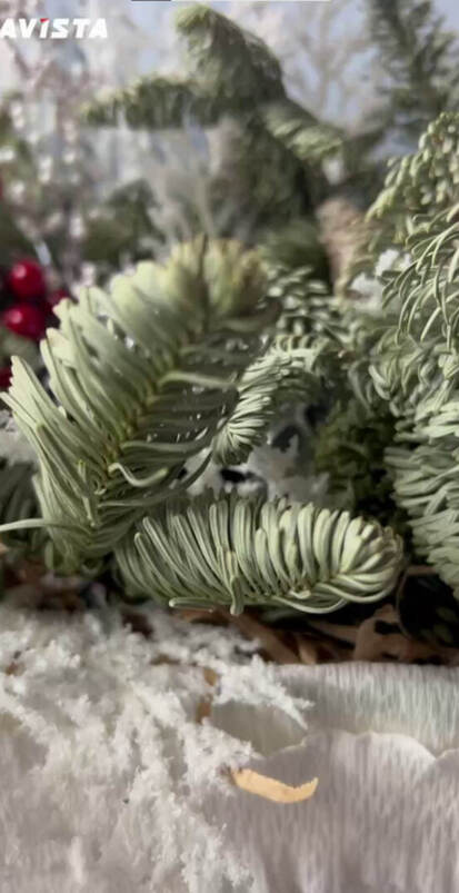 Друзья,впереди длинные выходные! Какие у вас планы?